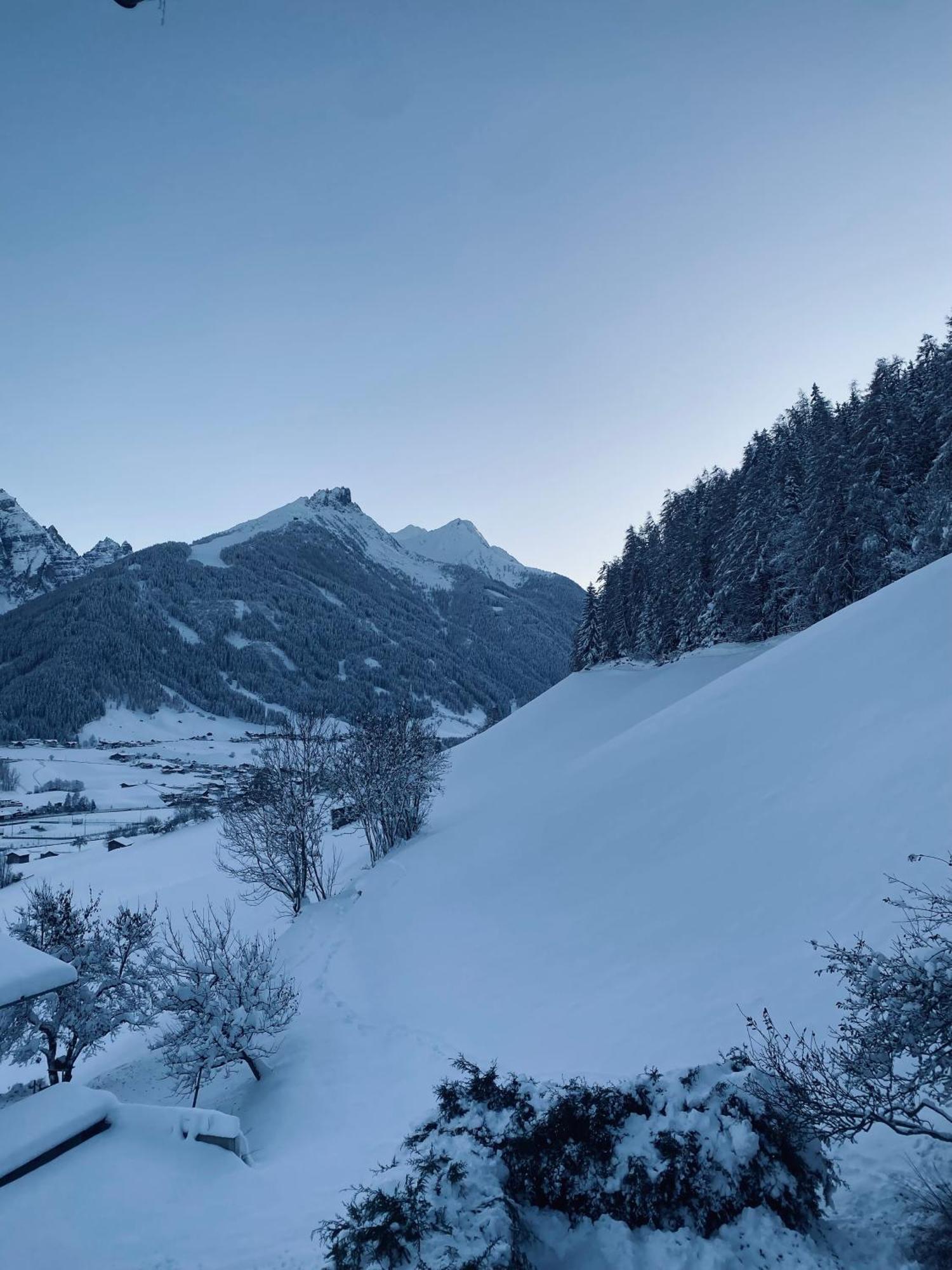 Riese Neustift im Stubaital